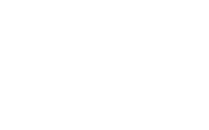 The Mobile Mystic Logo